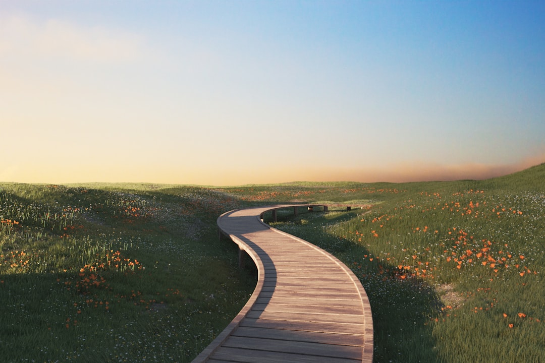 recovery solution path