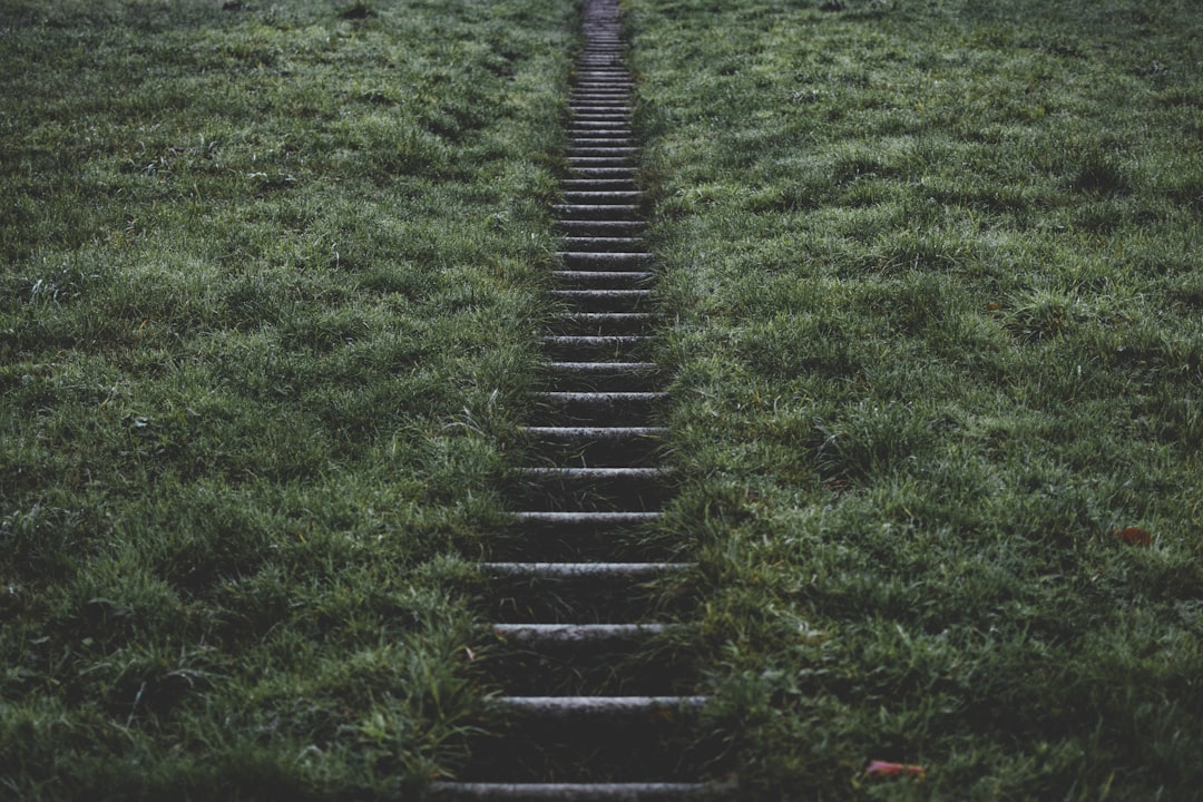 steps path success