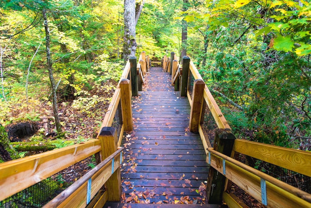 climbing stairs success